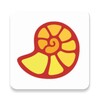 伴月直播